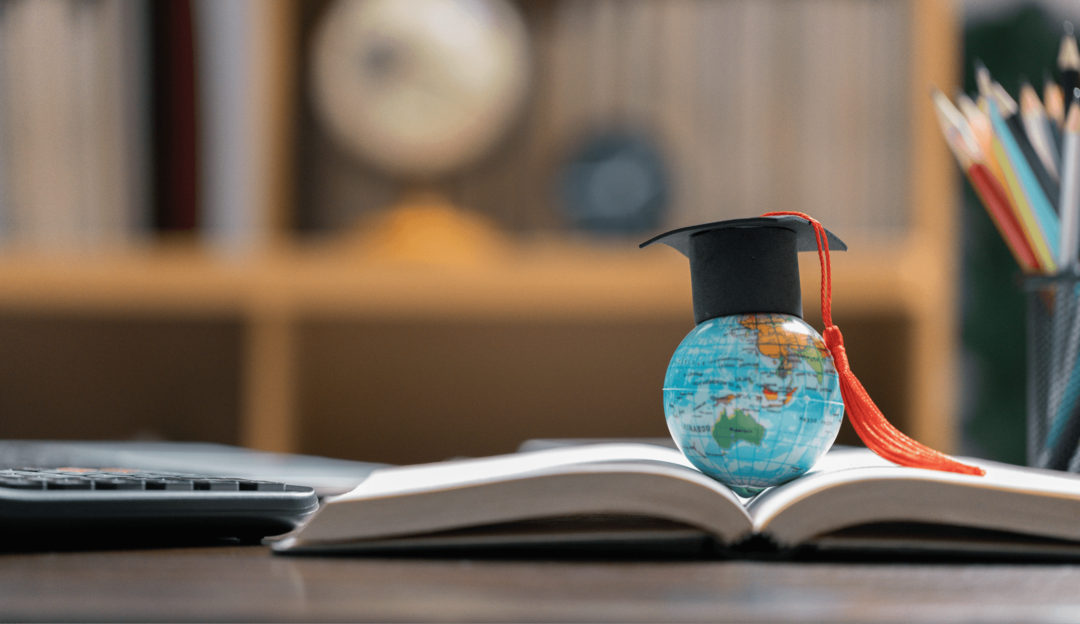 <p>IOIPG Foundation Scholarship Programme</p>